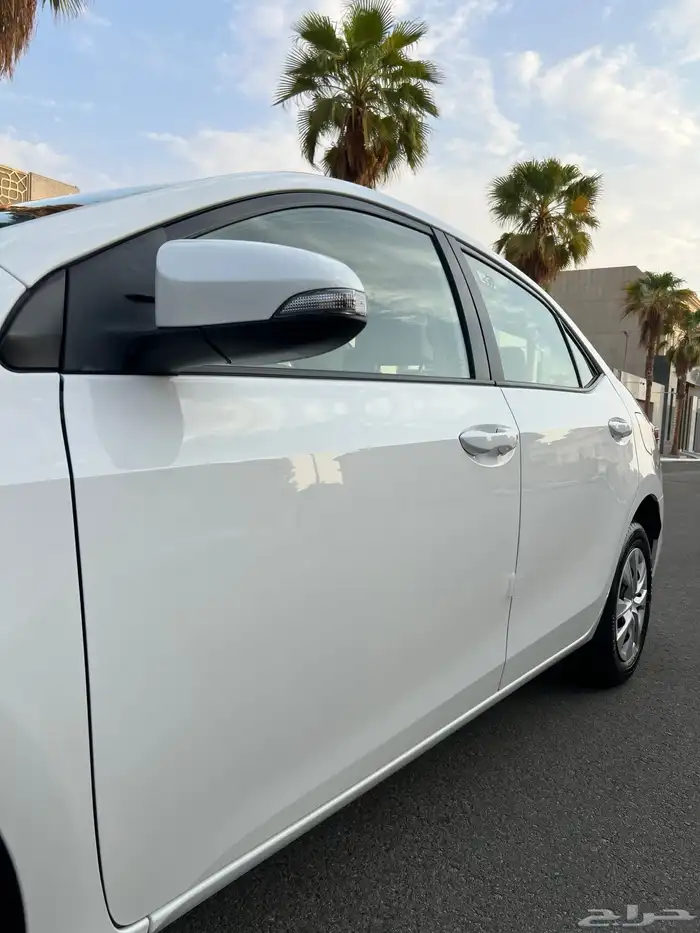 تم البيع الله يبارك للمشتري . 25