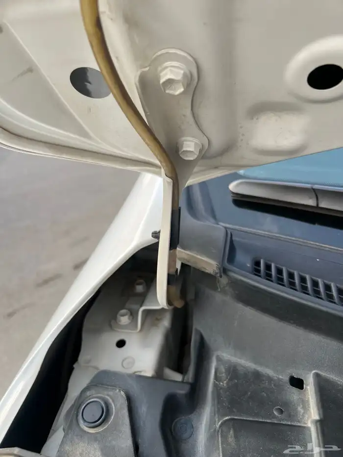 تم البيع الله يبارك للمشتري . 74