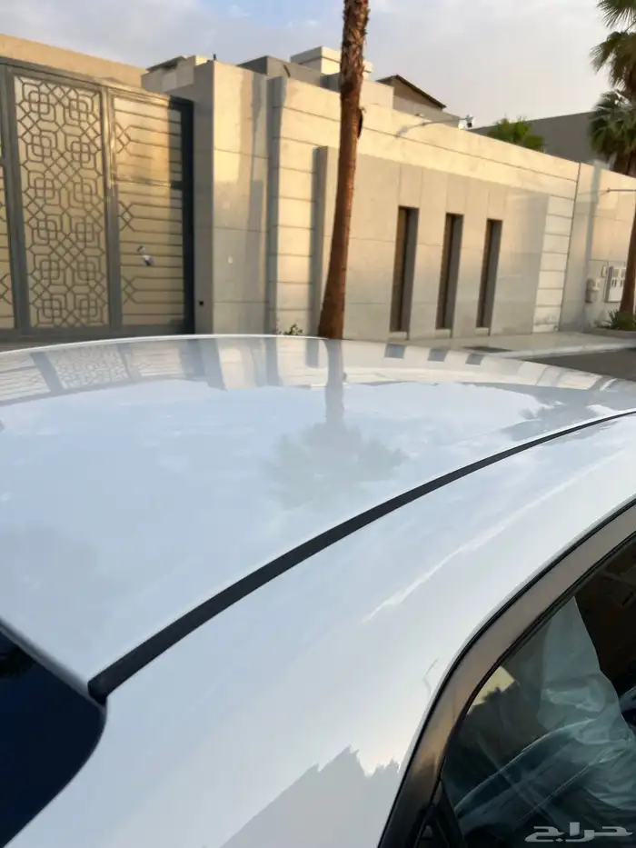 تم البيع الله يبارك للمشتري . 51