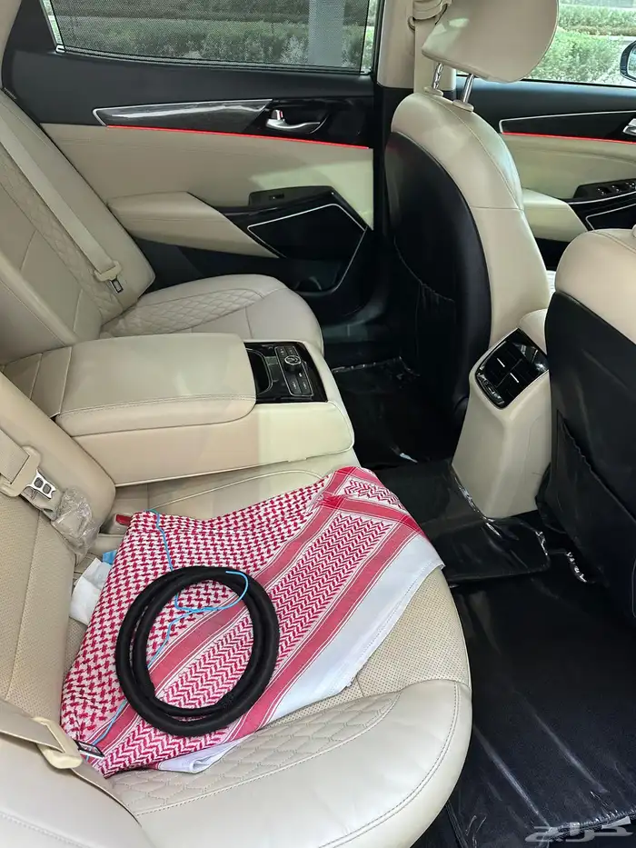 كادنزا 2019 فل كامل بنزين 12