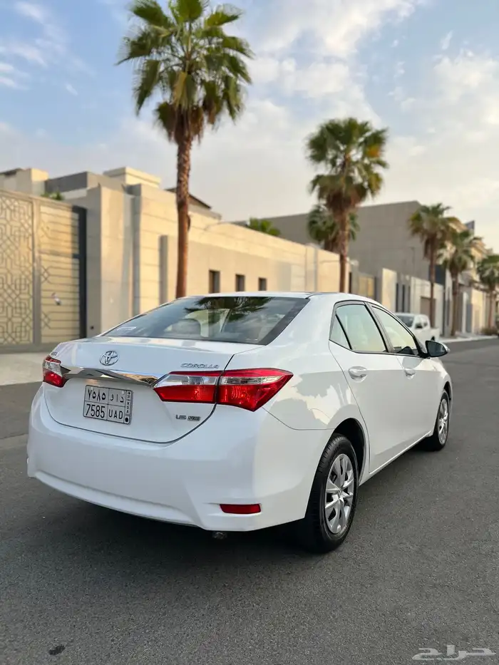 تم البيع الله يبارك للمشتري . 14