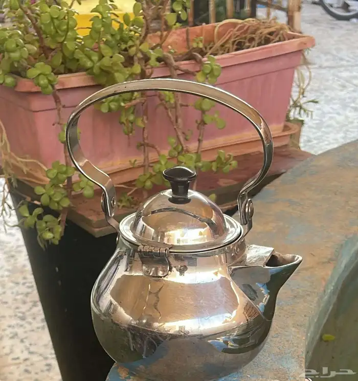 عر ض اليوم 0