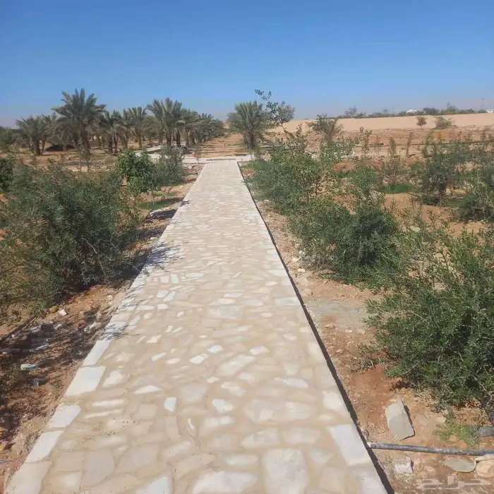 حجر طبيعي ربراب ومشيات طرق القصيم 0