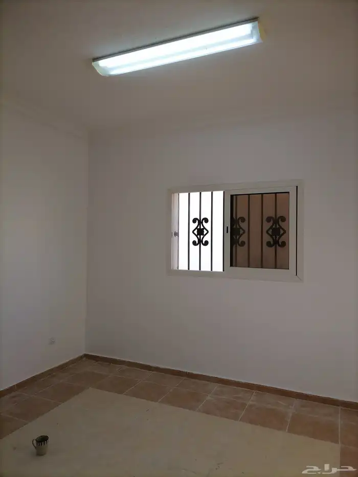 معلم دهان باكستاني شغل بويه 8