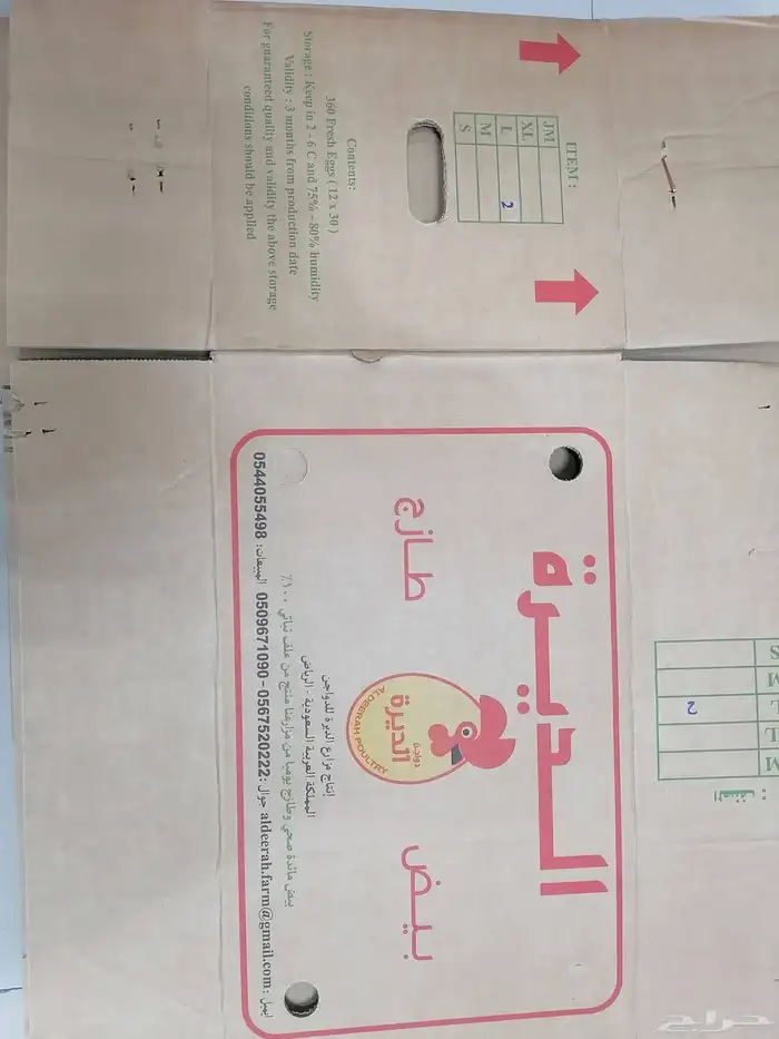 كرتين بيض 3 1