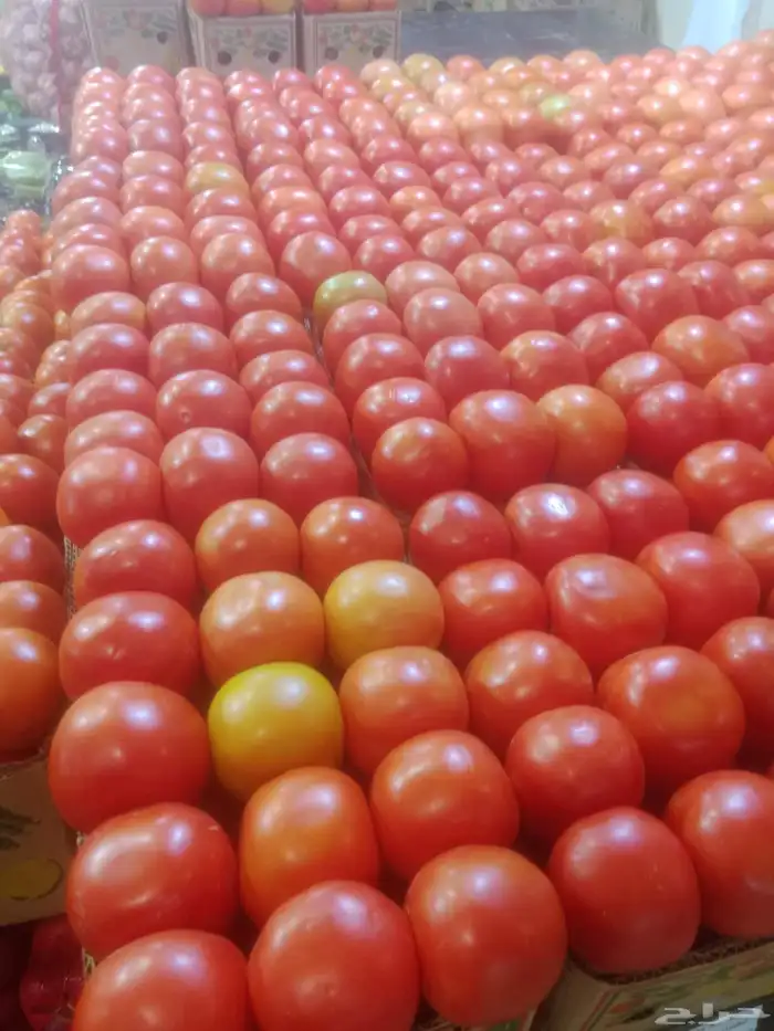 سيارات تبريد يوجد لدينا توصيل فواكه الطائف جده مكه الرياض 6