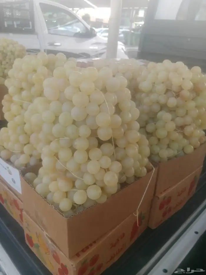 سيارات تبريد يوجد لدينا توصيل فواكه الطائف جده مكه الرياض 3