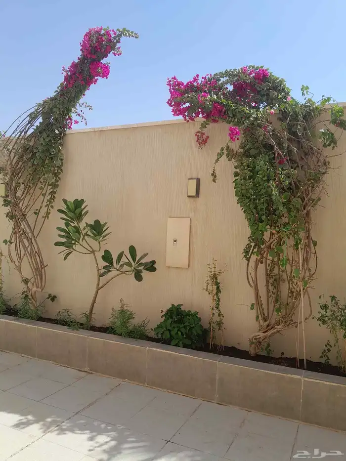مشتل تنسيق حدائق 0