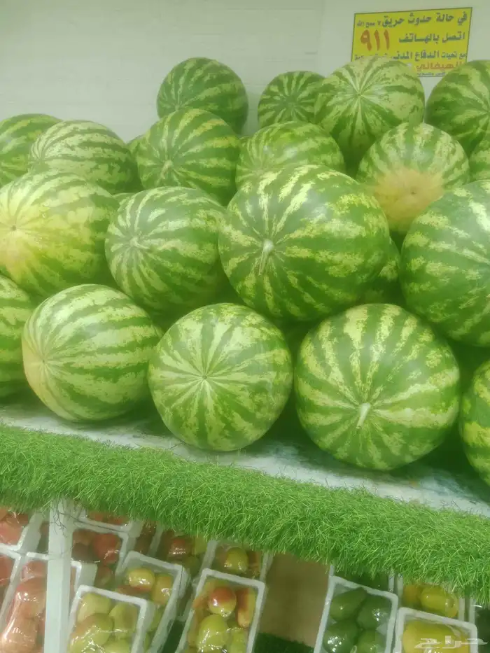 سيارات تبريد يوجد لدينا توصيل فواكه الطائف جده مكه الرياض 5