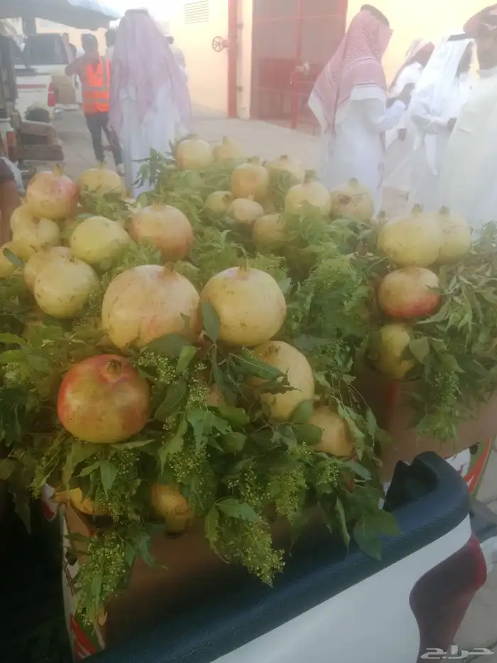 سيارات تبريد يوجد لدينا توصيل فواكه الطائف جده مكه الرياض 0