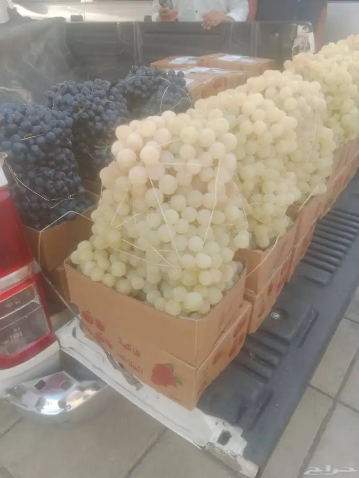 سيارات تبريد يوجد لدينا توصيل فواكه الطائف جده مكه الرياض 1