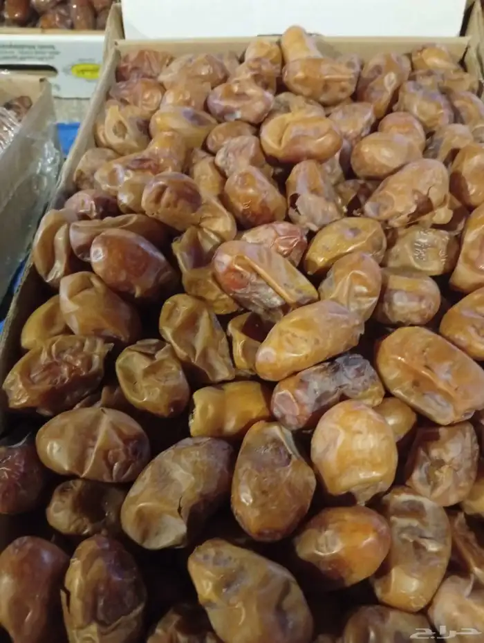 لبيع صقعي مجدول ونانه حلوه 4