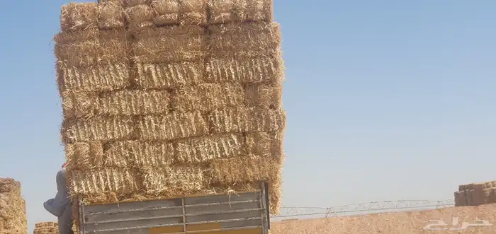اعلاف 1