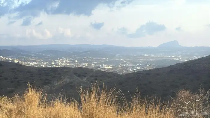 أرض للبيع بمخطط العبادل والدهامشة ببني كبير ببلجرشي 0