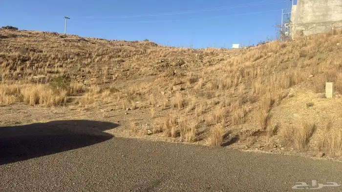 أرض للبيع بمخطط العبادل والدهامشة ببني كبير ببلجرشي 1