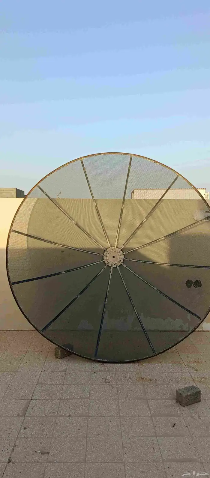 صحن امريكي شبك 0