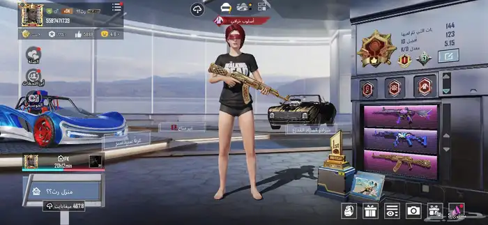 حساب ببجي فيه 19 سلاح 0