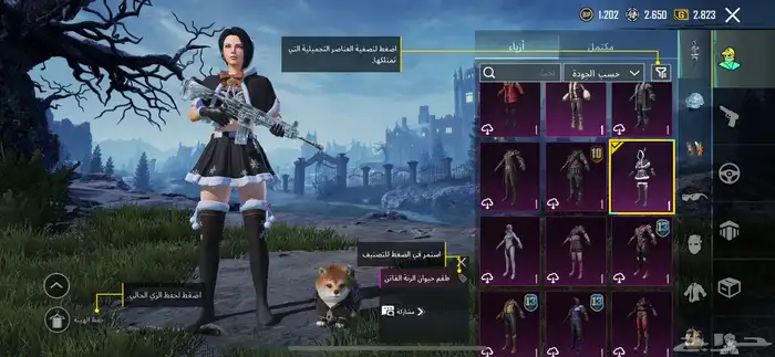 حساب ببجي للبيع 3