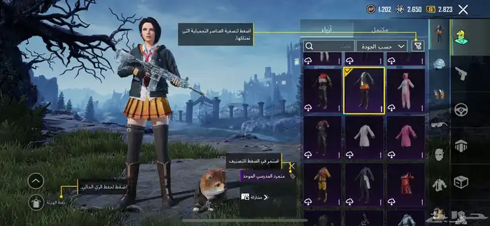 حساب ببجي للبيع 5