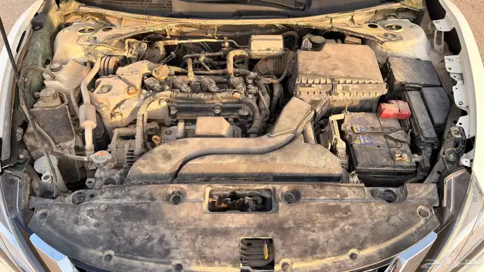 التيما 2018 ستاندر 21