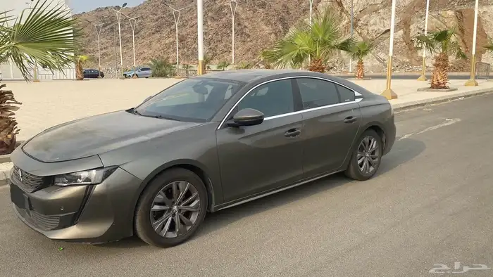 بيجو ستاندر 2020 0