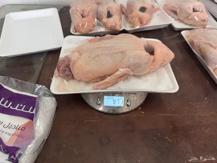 بط ذبح 5