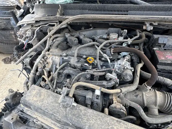 كورولا 2022 3 سرندل 3