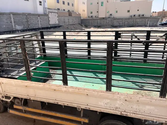 دينا ايسوزو 2008 7