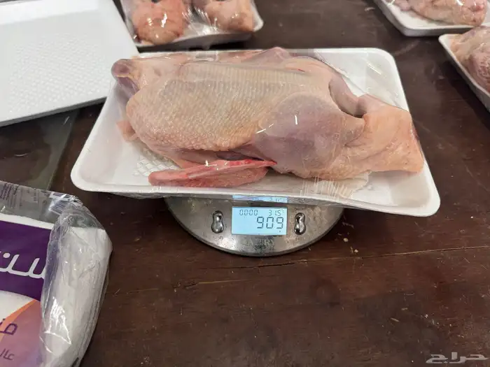 بط ذبح 7