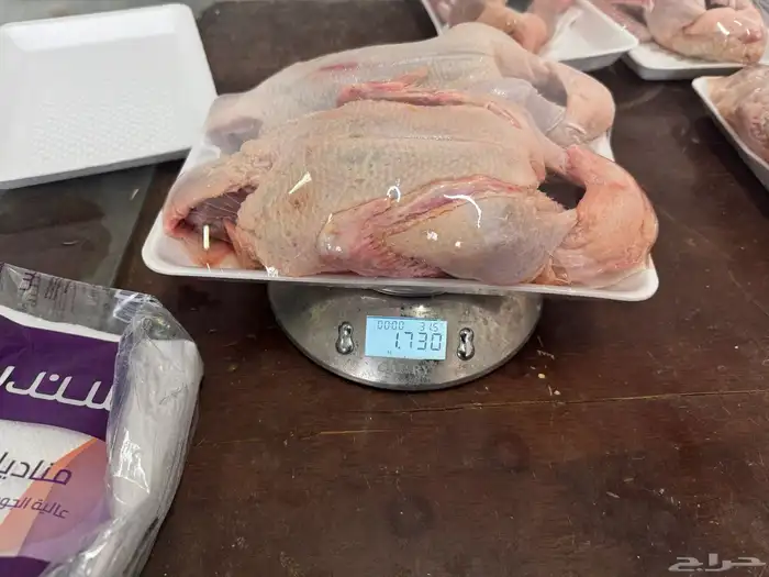 بط ذبح 3