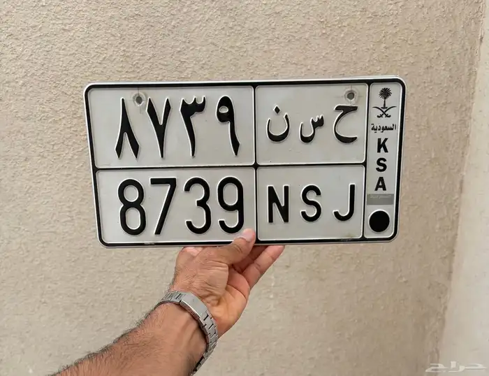 لوحة حسن 0