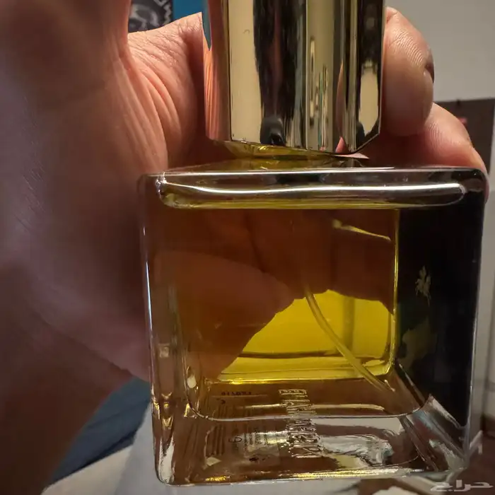 عطر انيشاني اني اكسترايت بارفيوم 100 مل 1