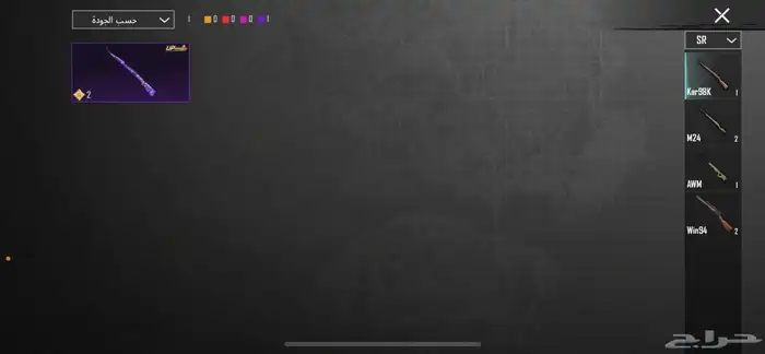 حساب ببجي اللبيه 13