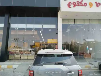 سانج يونج توريس 2024 الفئة الثانية ادفانس index