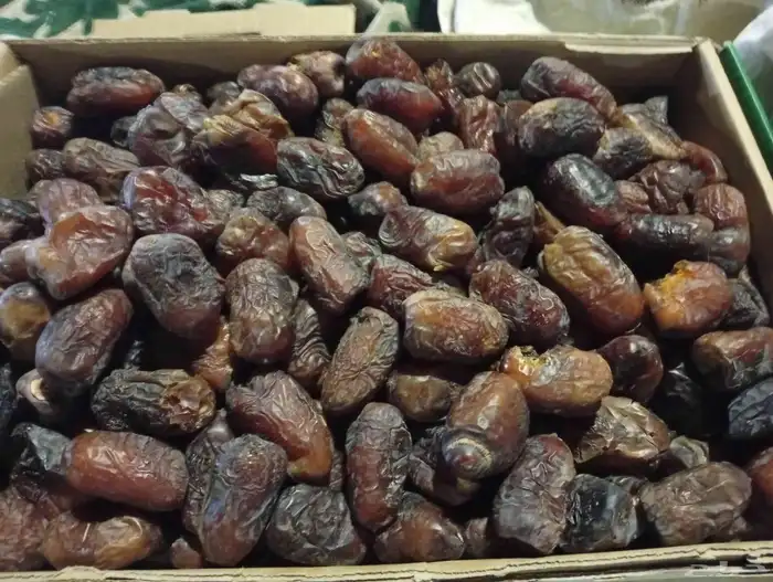 لبيع صقعي مجدول ونانه حلوه 3