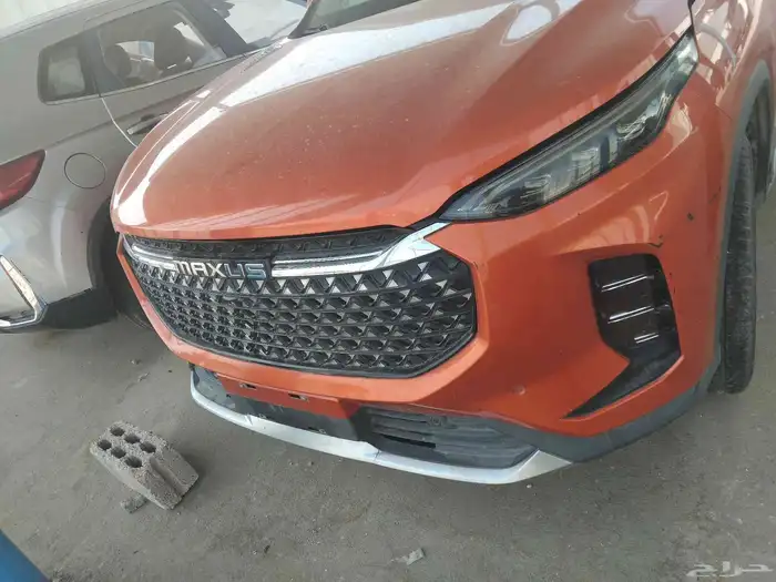 صيني 1