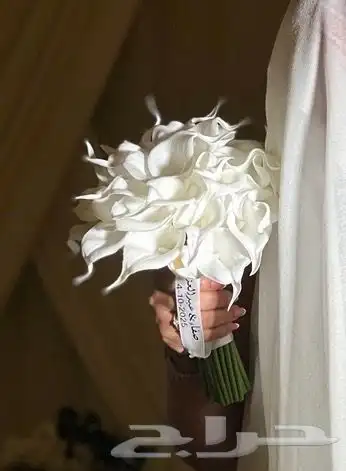 فستان ملكه ومسكه 2