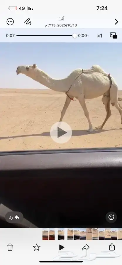 للبيع الضريبه الباتليه الكفووو 0