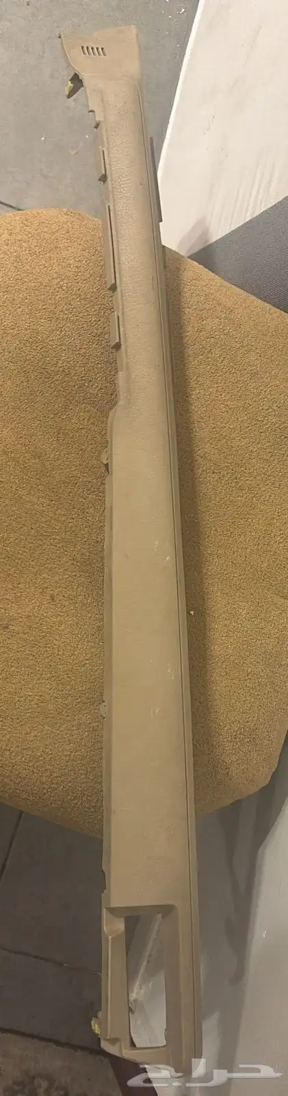 قشرة طبلون 1