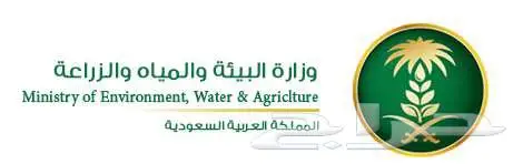تصميم تطبيقات هويات مواقع   اشراف على السوشيال ميديا 41