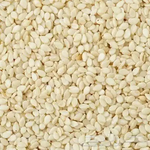 السمسم السوداني الفاخر قضارف متوفر الآن 0