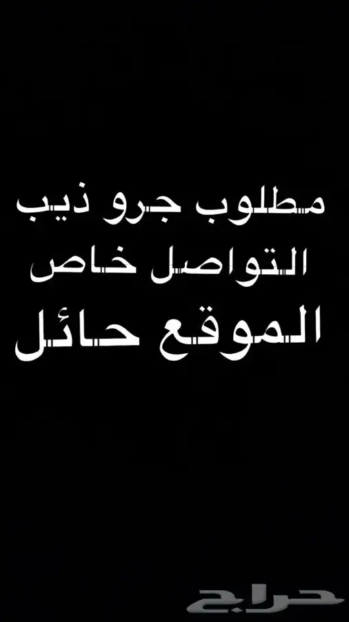 مطلوب جرو ذيب 0