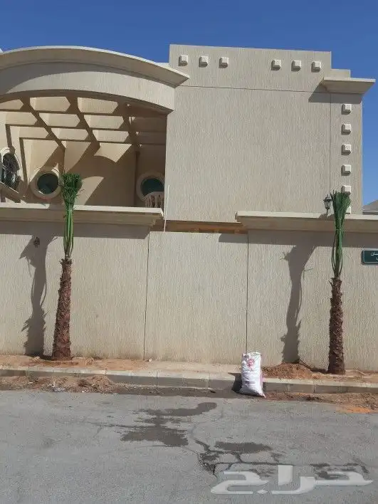 نخل وشنطونيا لبيع 2