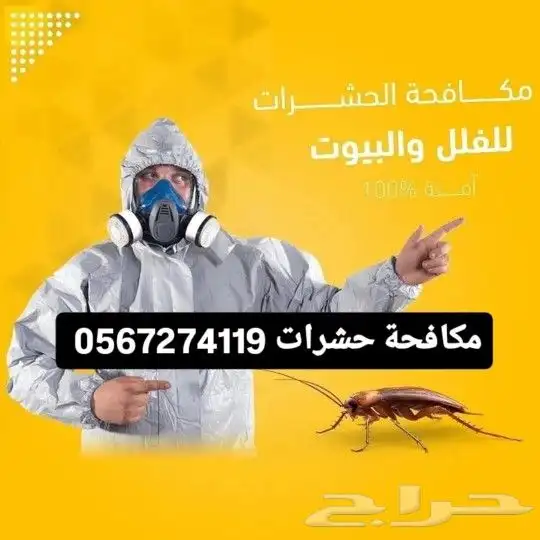أدوات مكافحة الصراصير النمل البق بالمدينة المنورة 0