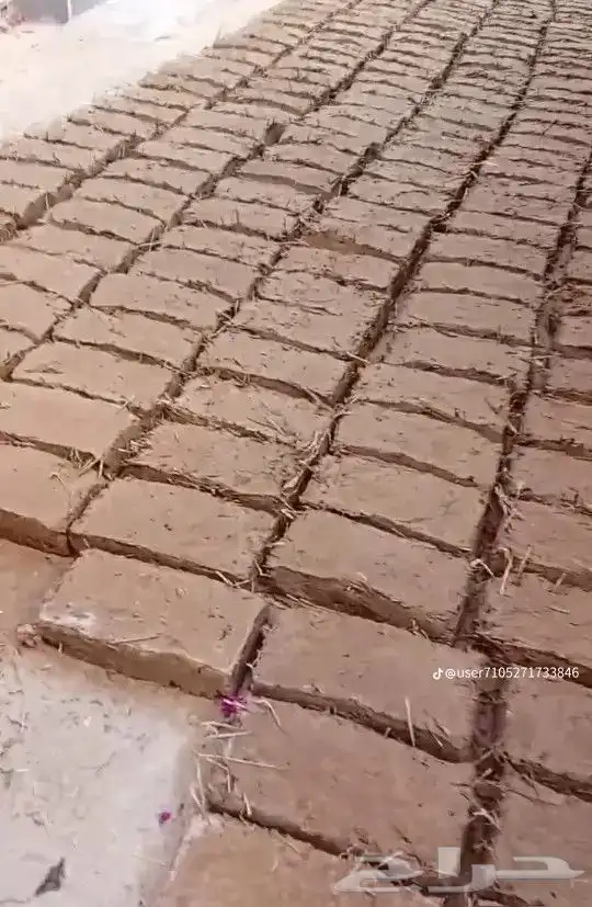 اشغال اتراث القديم 1