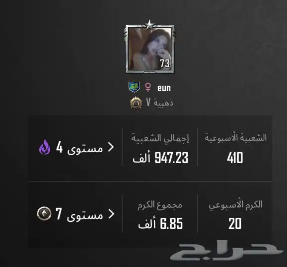 حساب ببجي للبيع 14