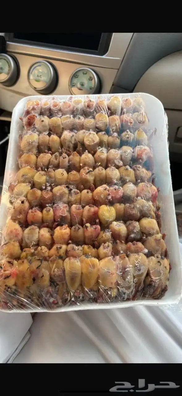 طيور دخل 1