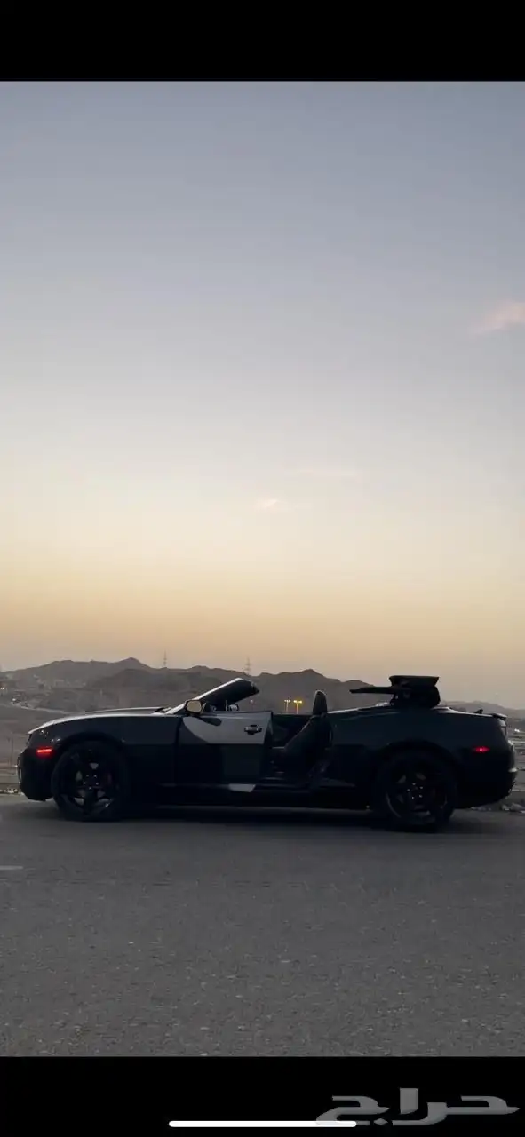 كومارو كشف 2011 7