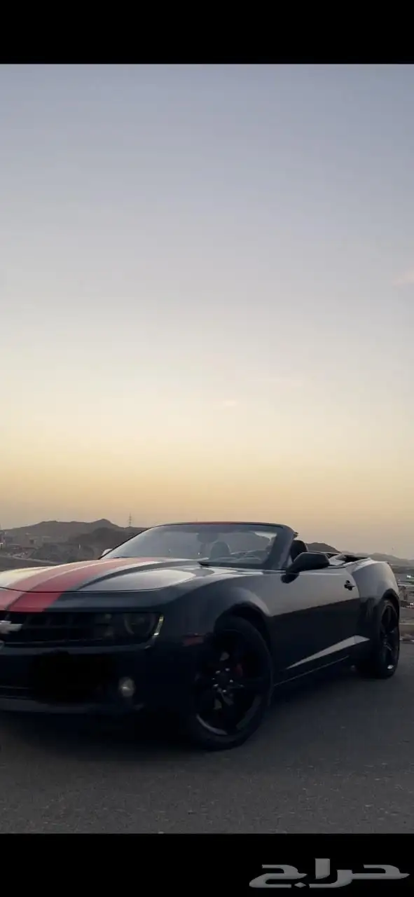 كومارو كشف 2011 6