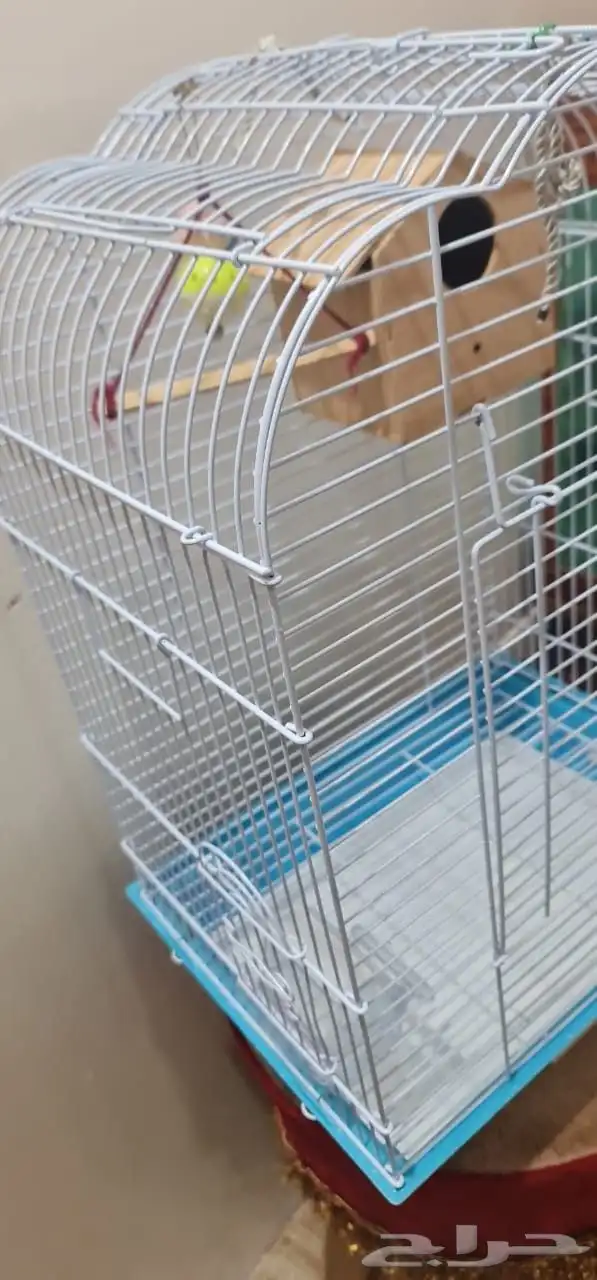 للبيع قفص عصافير كبير كروان روز وحتى للببغائات 4